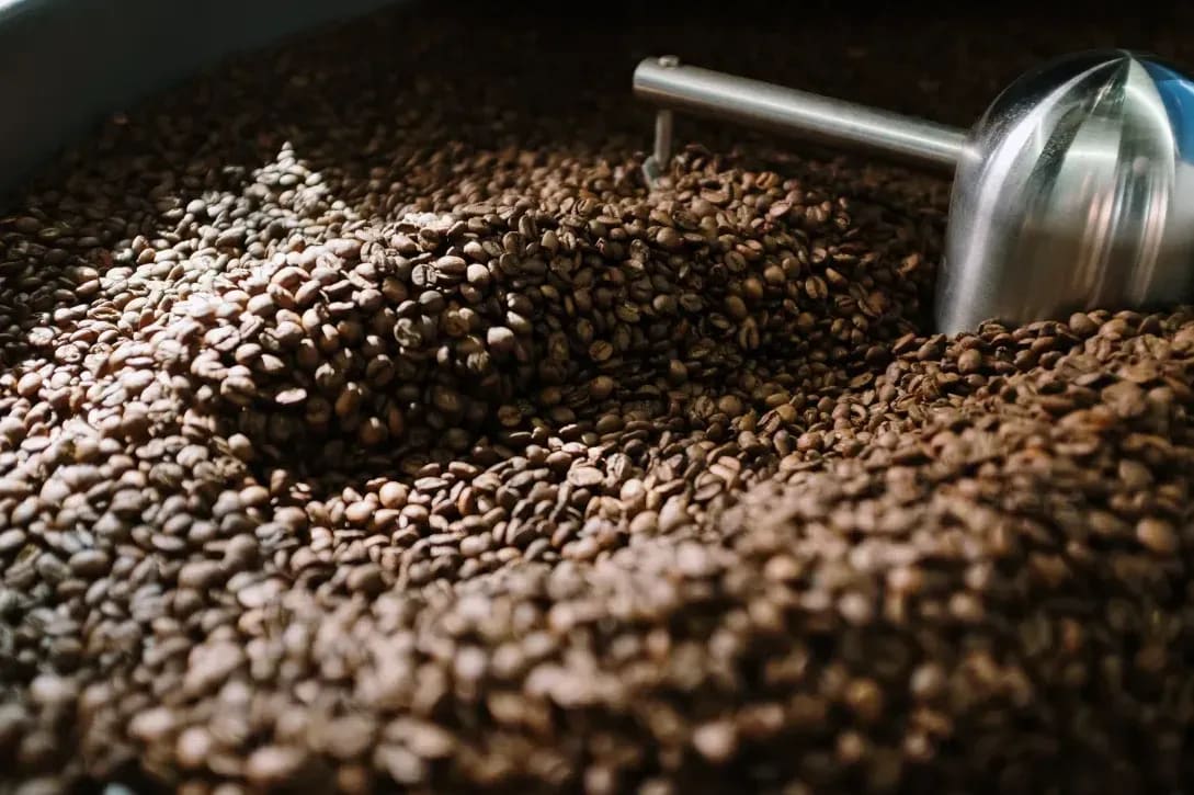Günter Coffee Roasters 6